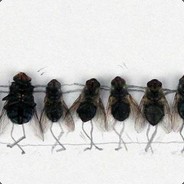 Доставщик Спермы