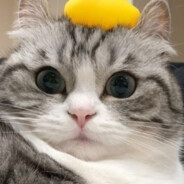 ♥️Mr.Proper ♥️ Pidr