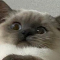 Иван Мельник