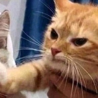 Ролан Мухаметшин