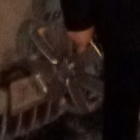 Вадим Петров