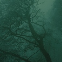 Тимофей Коноваленко