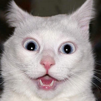 Илья Морозов(1)