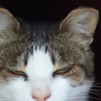 Жомарт Жолмагамбетов