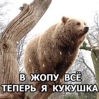 Владимир Чибитько