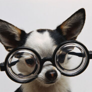 САСАСАТЕЛЬ ПУЛЬ