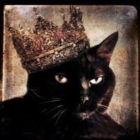 Дамир Ибрагимов