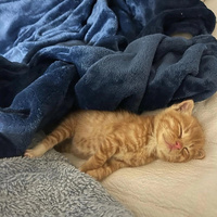 Вадим Липатов