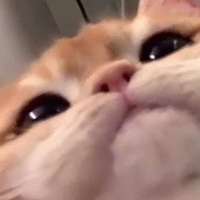 Андрей Артюх