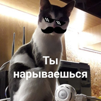 Максим Кудряшов