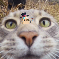 Роман Стрелков